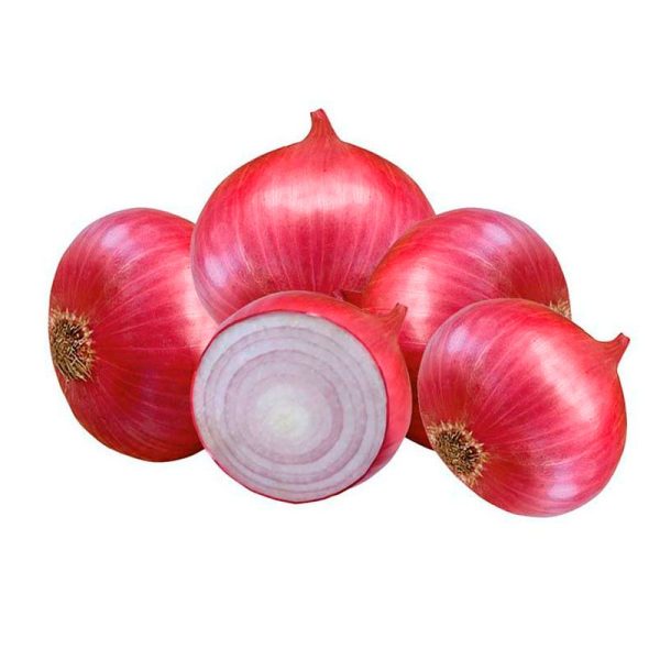 Cebolla Israel