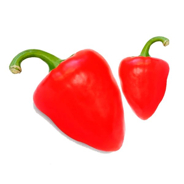 Pimiento trompo
