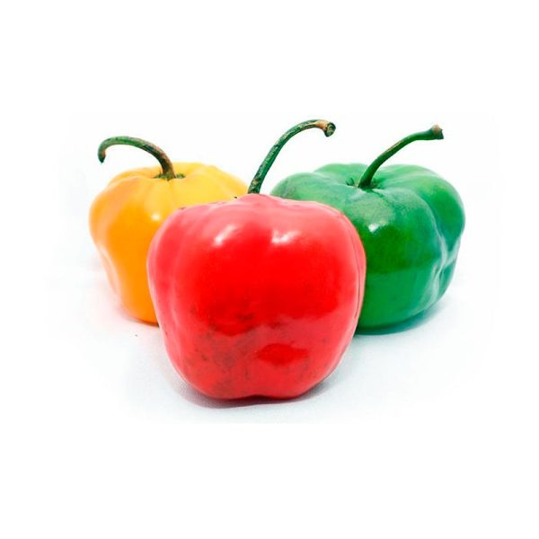 Rocoto para relleno